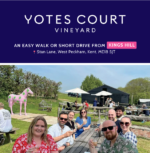 Yotes Court Vineyard